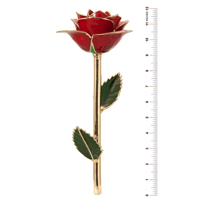 TR Jewelry Concepts Earrings Evening Coral 24K Gold Dipped Rose LIMITED STOCK