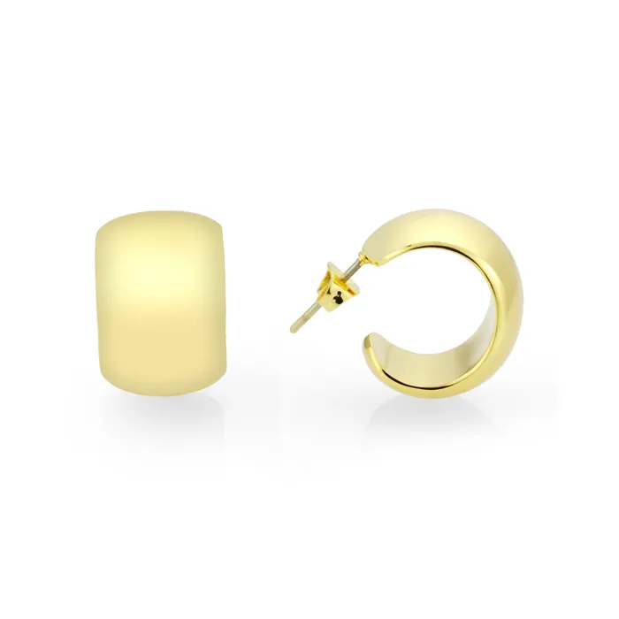 3W1740G Flash Gold Brass Earring with NoStone in No Stone Alamode Earrings