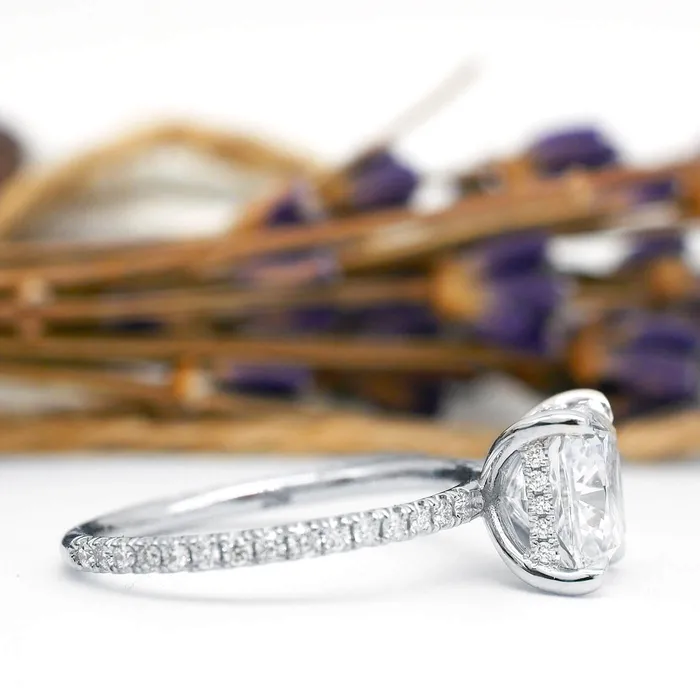 deBebians Dainty Pave Diamond Engagement Ring with Hidden Under Halo Rings deBebians Dainty Pave Diamond Engagement Ring with Hidden Under Halo Rings
