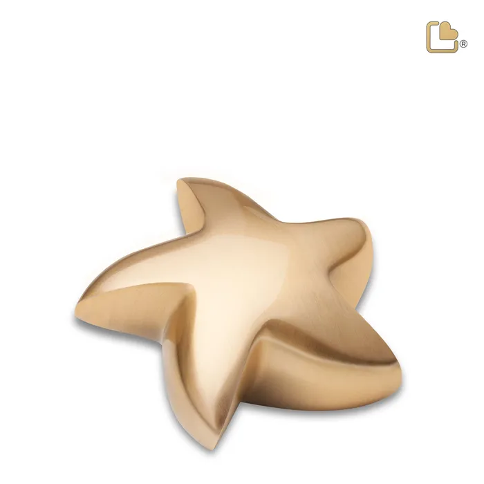 Earrings LoveUrns Star Brushed Gold Cremation Urn
