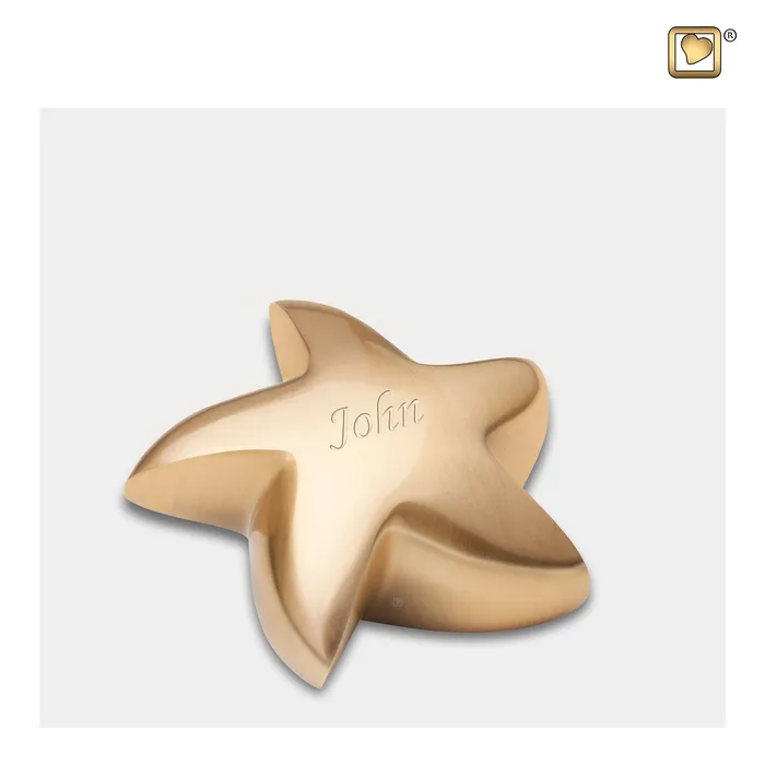 Earrings LoveUrns Star Brushed Gold Cremation Urn Earrings LoveUrns Star Brushed Gold Cremation Urn