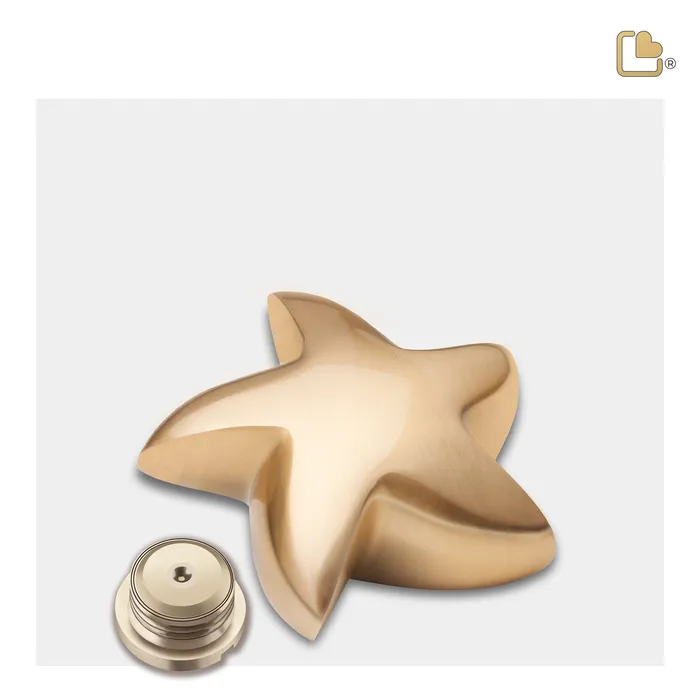 Earrings LoveUrns Star Brushed Gold Cremation Urn Earrings LoveUrns Star Brushed Gold Cremation Urn