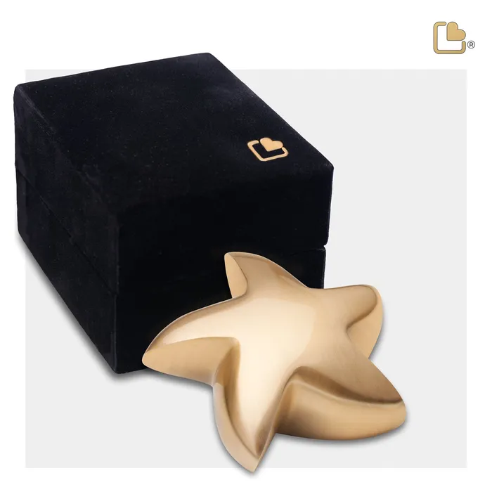 Earrings LoveUrns Star Brushed Gold Cremation Urn Earrings LoveUrns Star Brushed Gold Cremation Urn