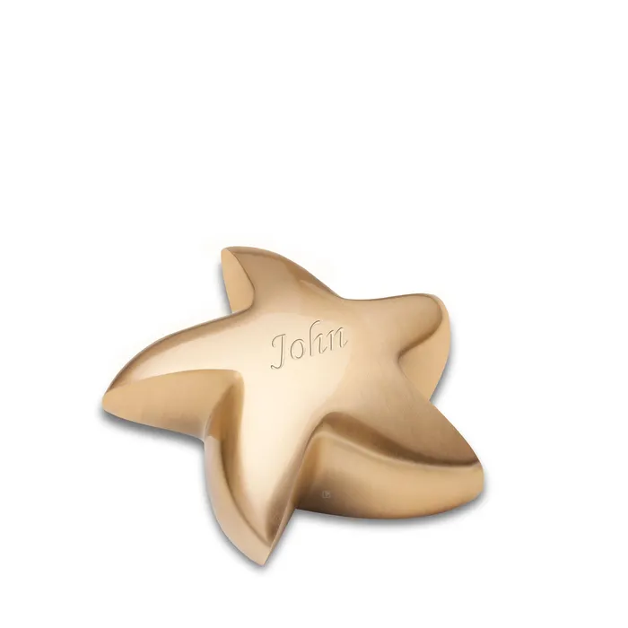 Earrings LoveUrns Star Brushed Gold Cremation Urn Earrings LoveUrns Star Brushed Gold Cremation Urn
